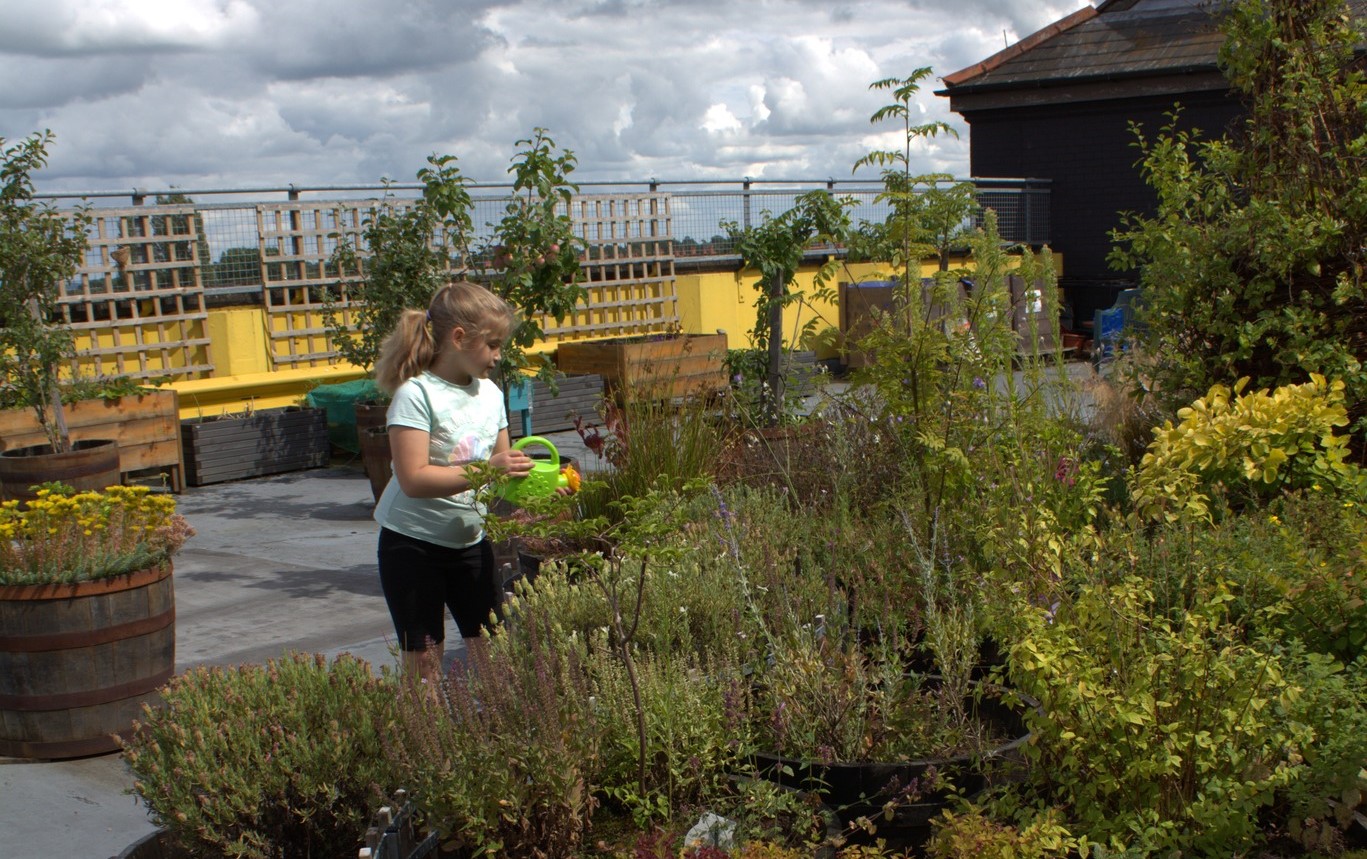 A girl waters plants in our rooftop garden with a green plastic watering can.