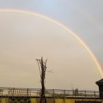 A faint rainbow in the sky above the rooftop garden. Planters can be seen in the foreground.